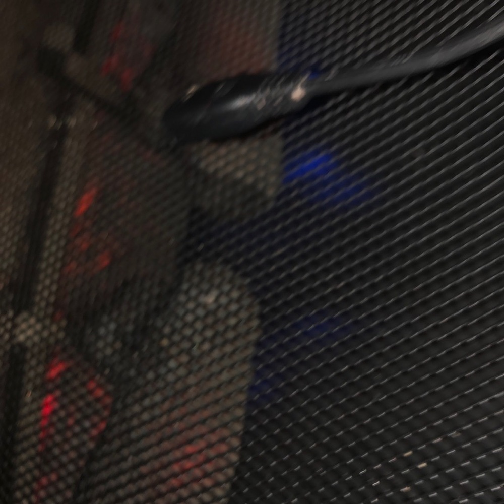 Meet your Posher, Dalila